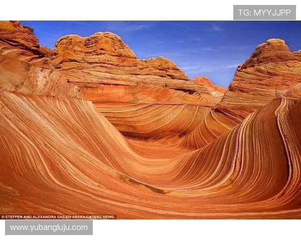 探索全球体育运动的魅力与发展趋势：从传统项目到创新赛事的全方位分析