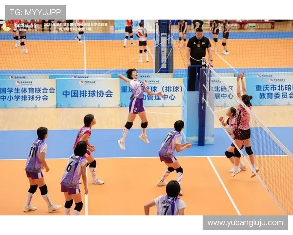 最新排球战术排名前十上海排球队凭借创新战术稳居榜首